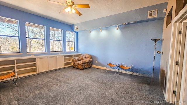 misc room featuring ceiling fan, track lighting, vaulted ceiling, and dark carpet