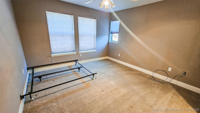 exercise room featuring ceiling fan and carpet floors