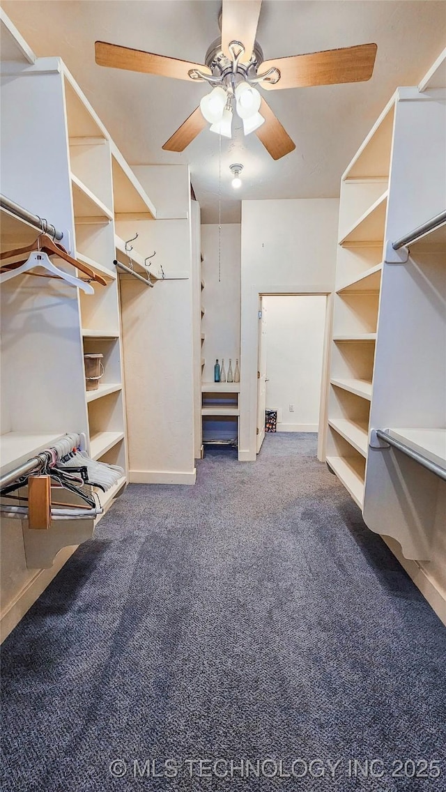 walk in closet with dark colored carpet and ceiling fan