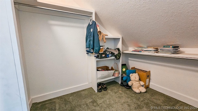 walk in closet with dark carpet