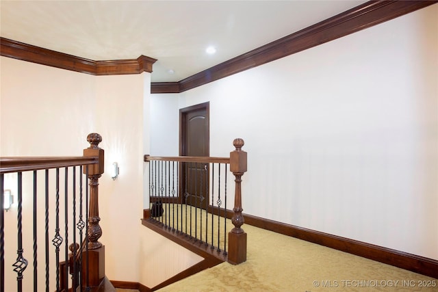 interior space with crown molding and carpet floors