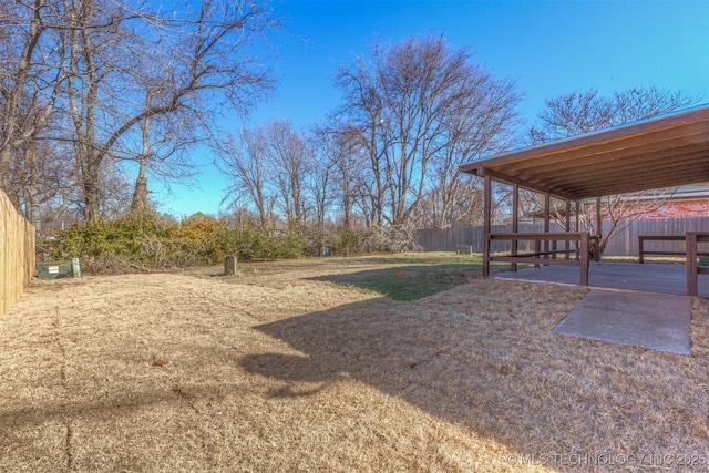 view of yard featuring a patio