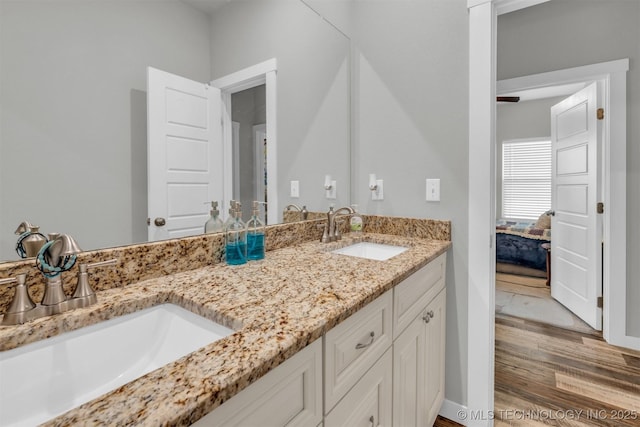 bathroom with hardwood / wood-style flooring and vanity