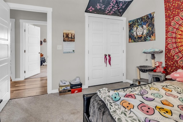 bedroom with carpet floors and a closet