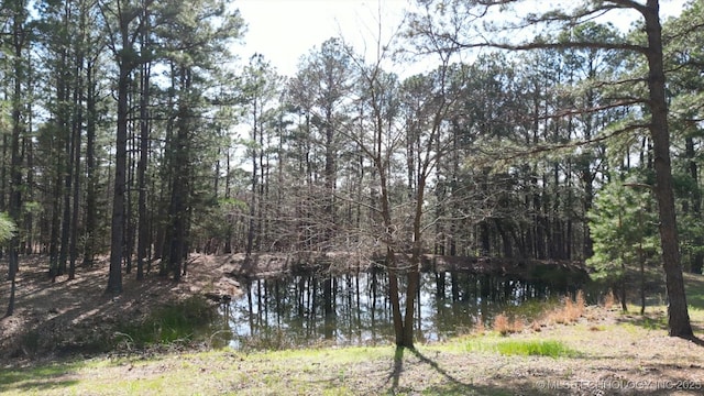 view of local wilderness with a water view