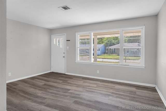 foyer entrance featuring dark wood-type flooring