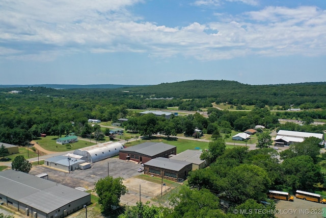 drone / aerial view