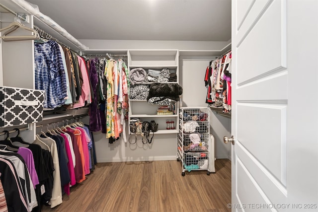 spacious closet with hardwood / wood-style flooring