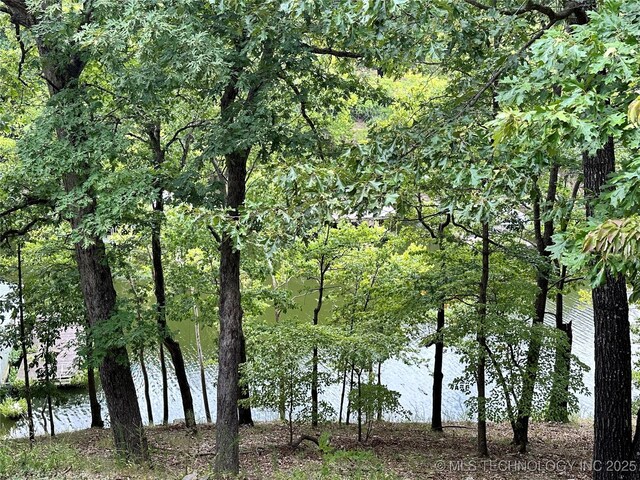 view of water feature