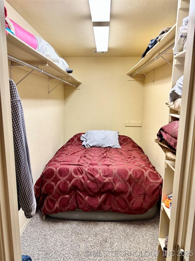 spacious closet with carpet