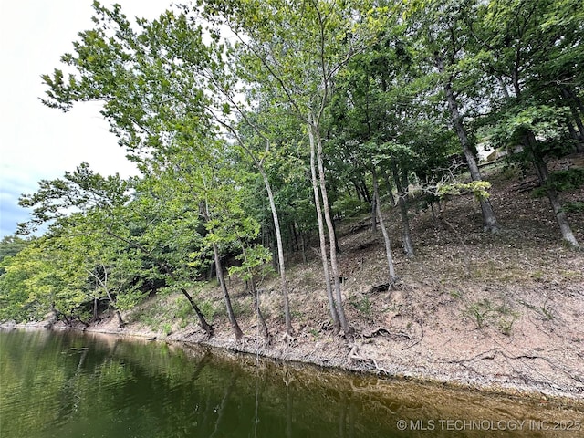 view of local wilderness featuring a water view