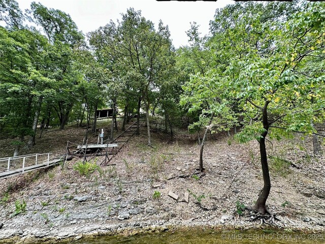 view of yard with a water view