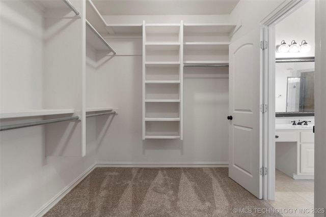 walk in closet featuring carpet floors and sink