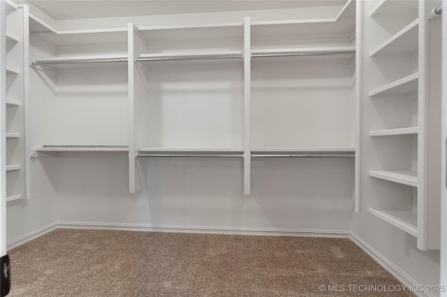 spacious closet with carpet flooring