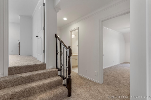 stairs with crown molding and carpet