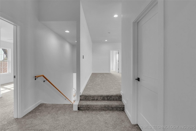 stairway featuring carpet flooring