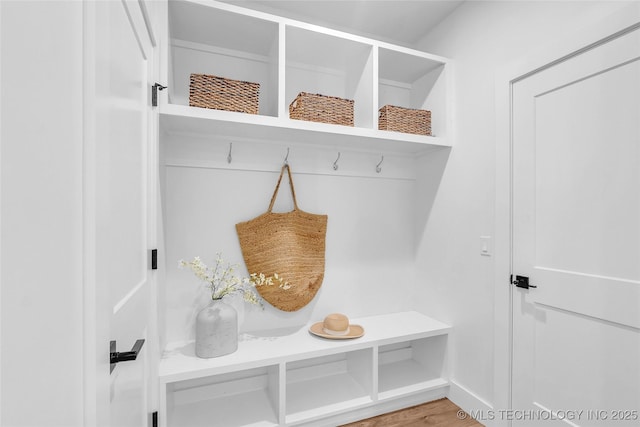 mudroom with wood-type flooring