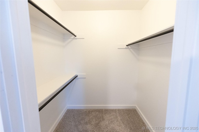 spacious closet with carpet