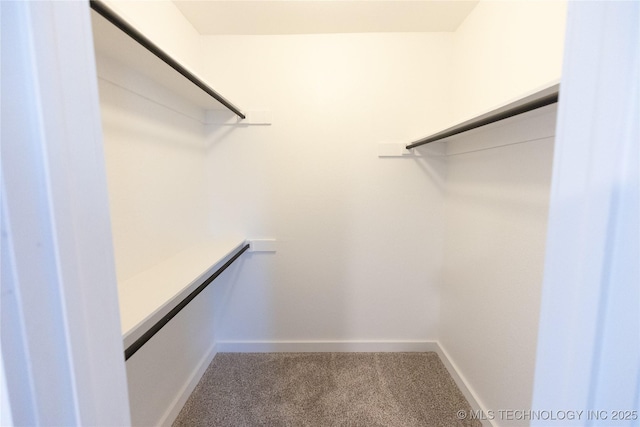 7850 S Park Ave, Broken Arrow, OK 74011 - walk in closet featuring carpet flooring
