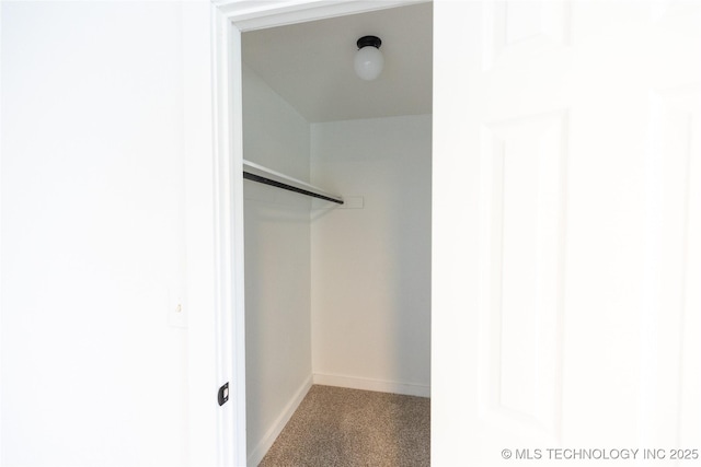 walk in closet featuring carpet flooring