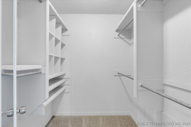 walk in closet featuring carpet flooring