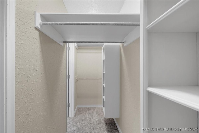 walk in closet featuring carpet