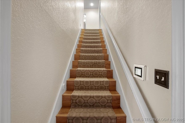 stairs with wood-type flooring