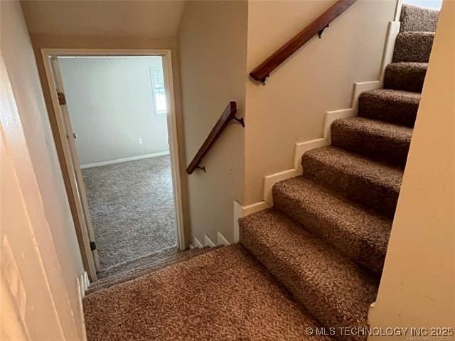 stairs featuring carpet floors