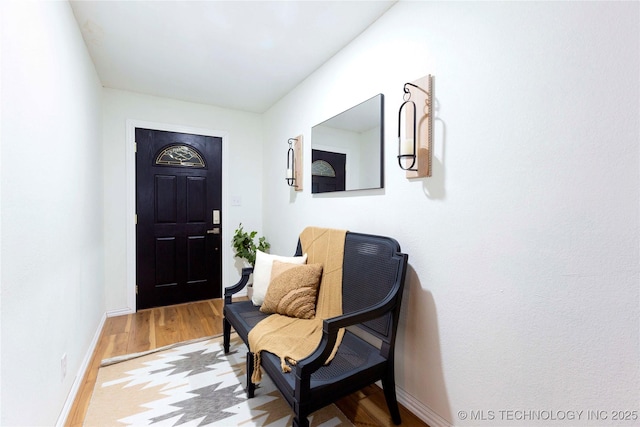 foyer entrance featuring light hardwood / wood-style flooring