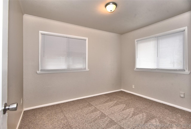 carpeted spare room featuring ornamental molding