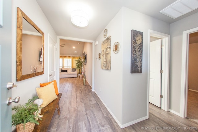 hallway featuring hardwood / wood-style floors