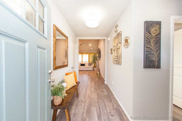 hallway with hardwood / wood-style floors