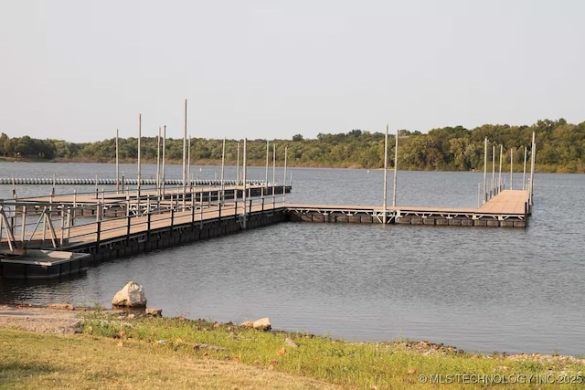 dock area featuring a water view