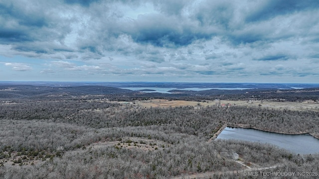 birds eye view of property featuring a water and mountain view