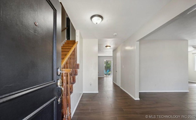 foyer featuring dark hardwood / wood-style floors