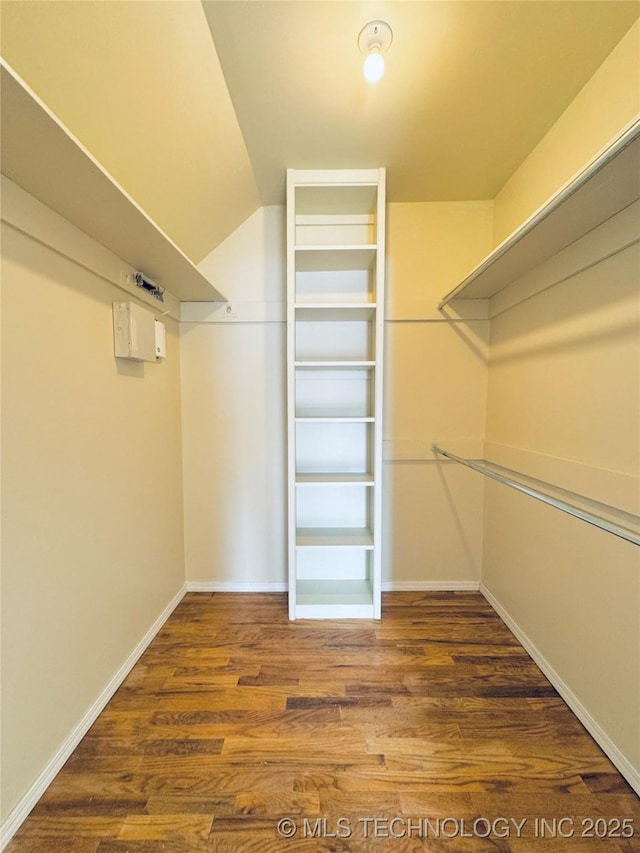 walk in closet featuring lofted ceiling and dark hardwood / wood-style floors