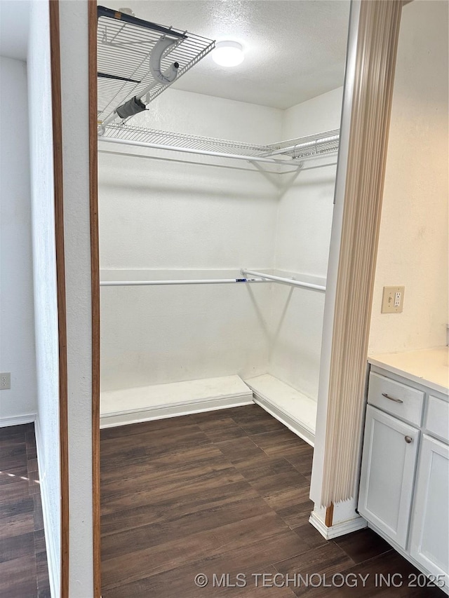 spacious closet with dark hardwood / wood-style floors