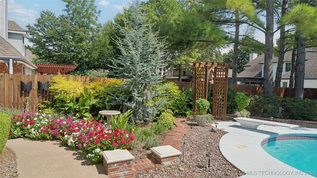 view of pool with a pergola, a patio, and a diving board