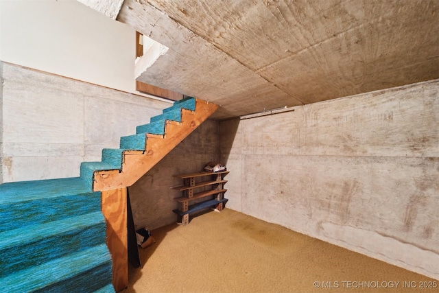 basement with carpet