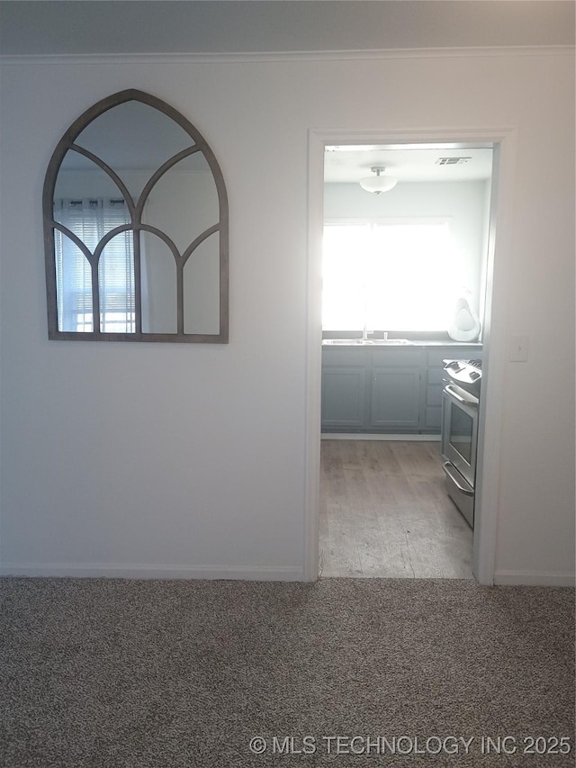 interior space featuring light carpet, sink, and crown molding