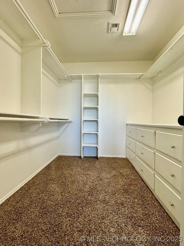 walk in closet featuring carpet floors