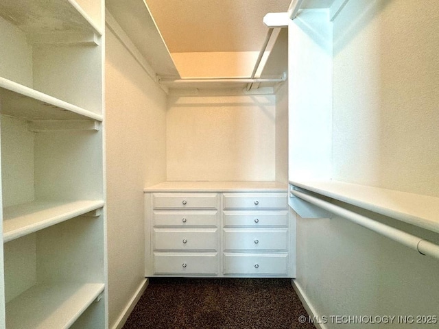 spacious closet featuring dark carpet