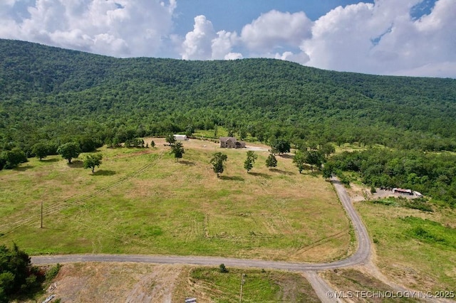 property view of mountains with a rural view