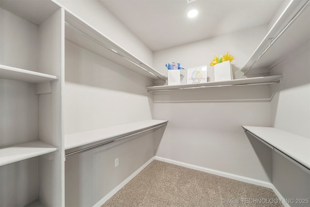 walk in closet featuring carpet flooring