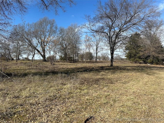 view of yard featuring a rural view