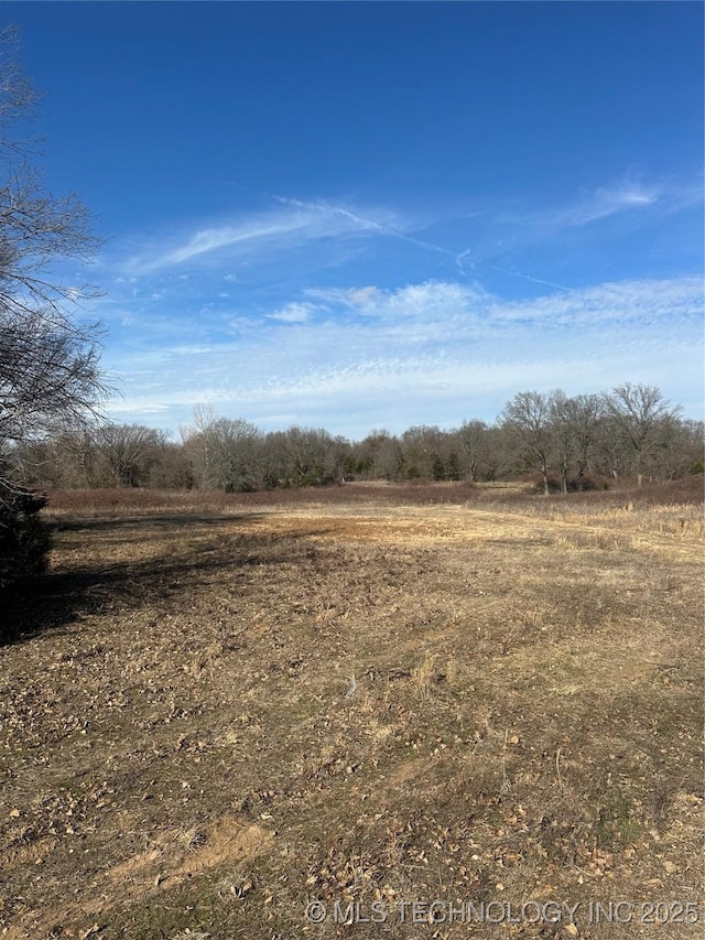 view of landscape featuring a rural view