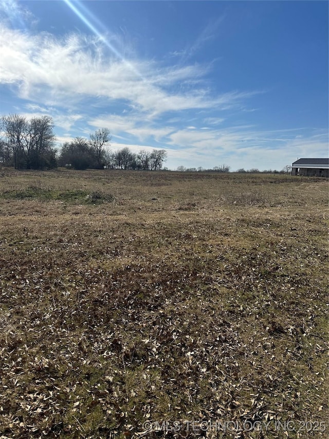 view of local wilderness with a rural view