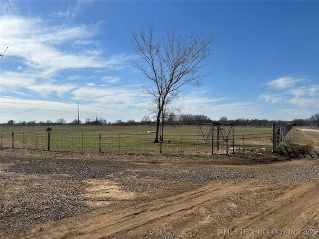 view of yard with a rural view