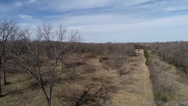 view of local wilderness