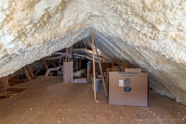 view of unfinished attic